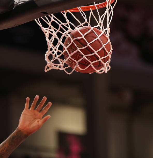 可以预见 可以预见