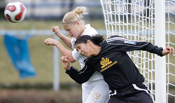 诺提供了信 诺提供了信